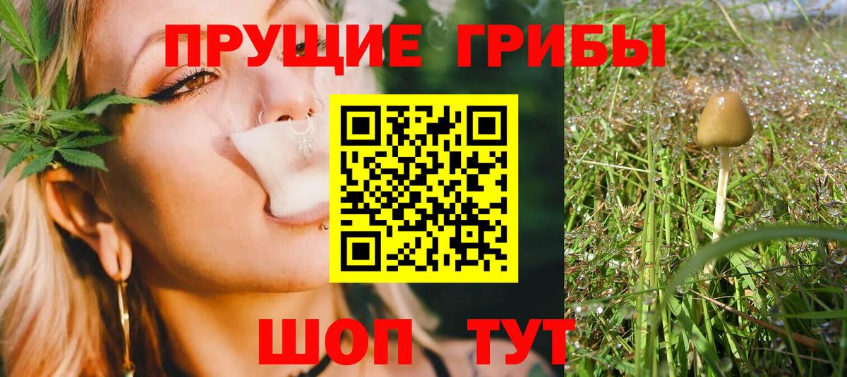 Северск  Галлюциногенные грибы ЛСД  Вход с VPN  Галлюциногенные грибы Magic Shrooms 