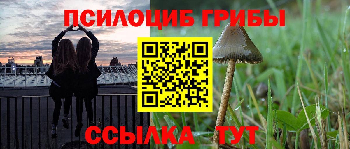 Псилоцибиновые грибы MAGIC MUSHROOMS Северск